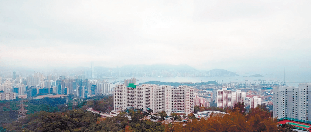 單位俯瞰九龍市景，更可飽覽維港海景。