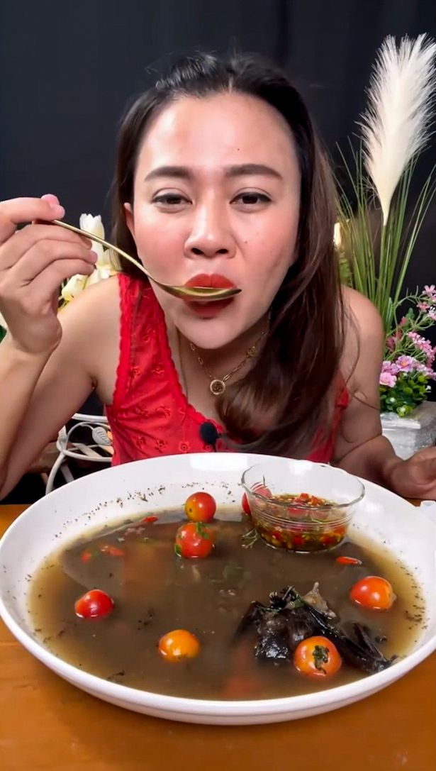 一名泰国网红表演食蝙蝠汤被捕。互联网截图