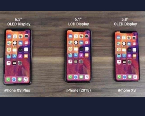 iPhone X 的設計,當中兩款使用 5.8 吋和 6.5 吋 OLED 屏幕,另一款 6.1 吋的則使用 LCD 屏幕。(網圖)