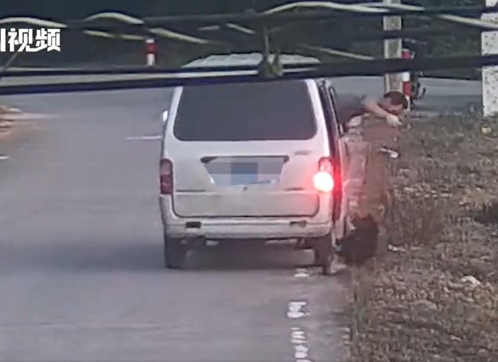 疑犯快速地將放養在戶外的狗隻拉上車。網圖