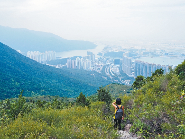 從婆髻山下山時，可循山徑回到東涌北公園作結。