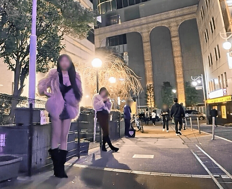 东京警视厅表示，去年在大久保公园周边一共有112名流莺招揽嫖客被捕。X@kabuki_sab