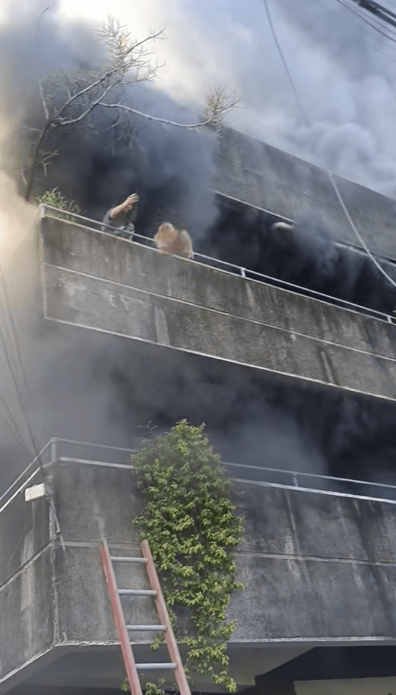 女子將黃毛狗狗從露台拋下。FB@IvyBaya/ FB@MANILA BULLETIN 女子將黃毛狗狗從露台拋下。FB@IvyBaya/ FB@MANILA BULLETIN