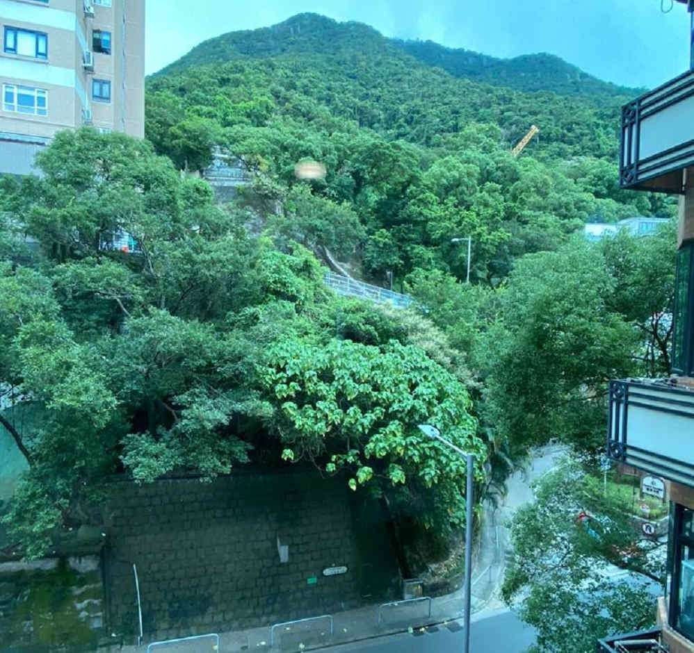 從單位外望為附近山景,環境寧靜。