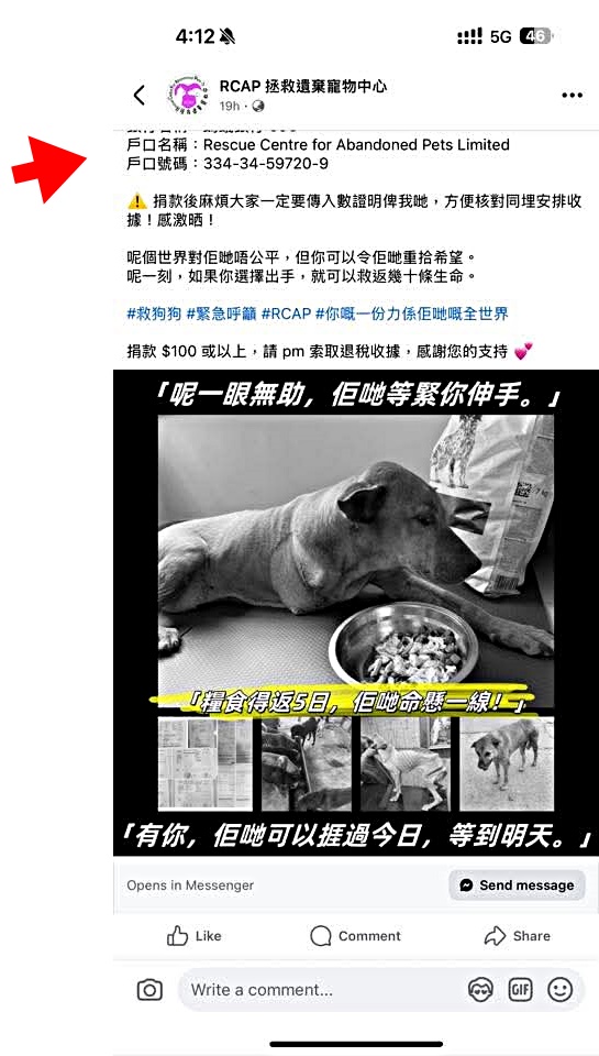 假網站的戶口公司非相關的愛護動物機構。 假網站的戶口公司非相關的愛護動物機構。