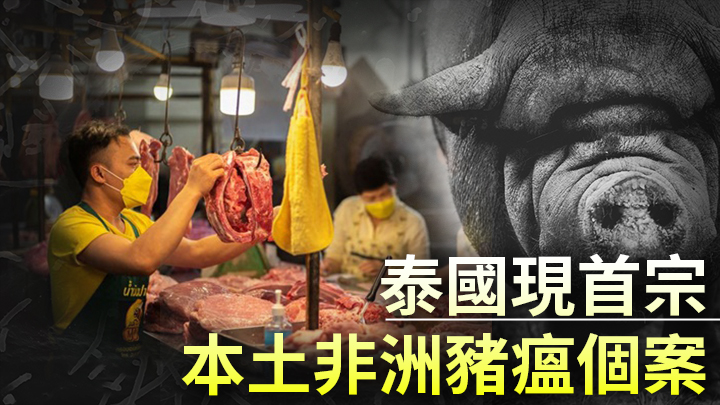泰國當局在一個屠宰場中驗出非洲豬瘟病毒。路透社資料圖片及unsplash圖片