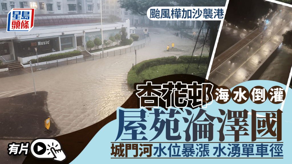 杏花邨出現海水倒灌，大廈對開空地成為澤國。