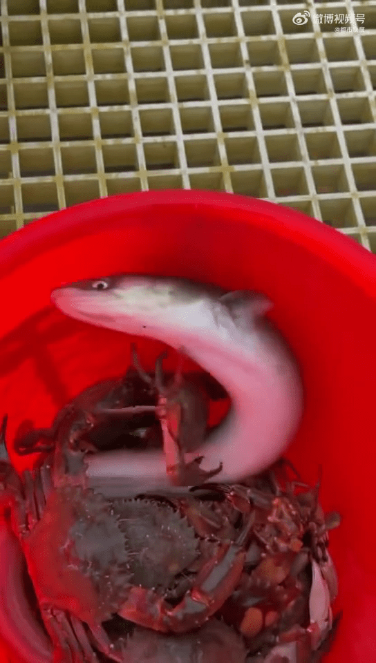 在北京做了20年房地產後到舟山「守島」。 在北京做了20年房地產後到舟山「守島」。