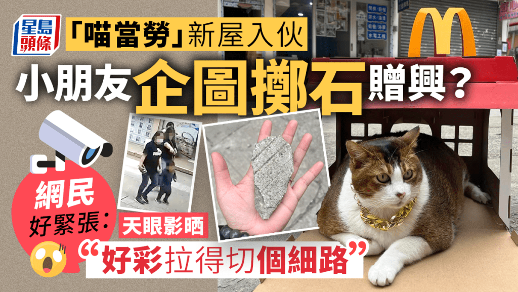 元朗「喵當勞」新張小童擲石贈興? 網民捏把汗:好在拉得切 元朗「喵當勞」新張小童擲石贈興? 網民捏把汗:好在拉得切