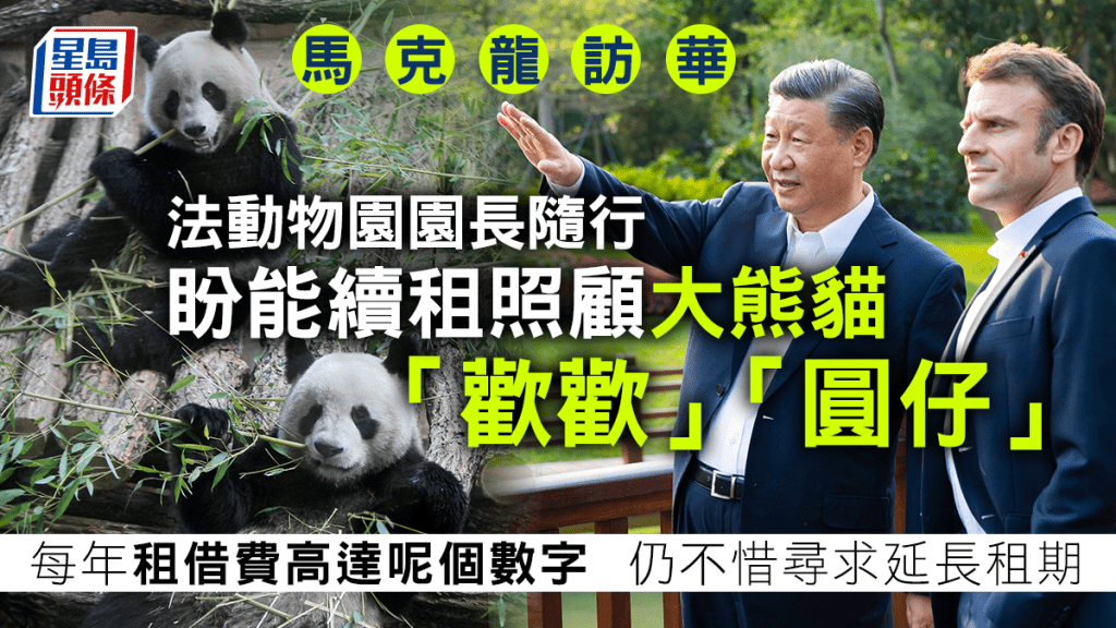位於法國中部聖艾尼昂的博瓦勒動物園是法國最大動物園，也是法國唯一可以實地觀賞到大熊貓的地方。 新華社/AP