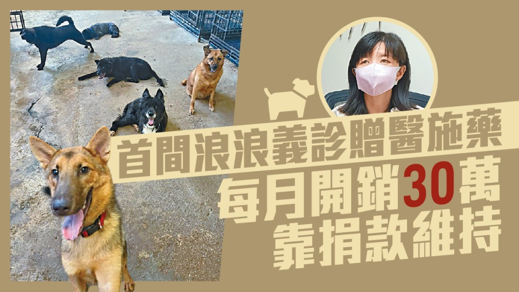 Ivy希望診所可幫到更多被遺棄的動物。