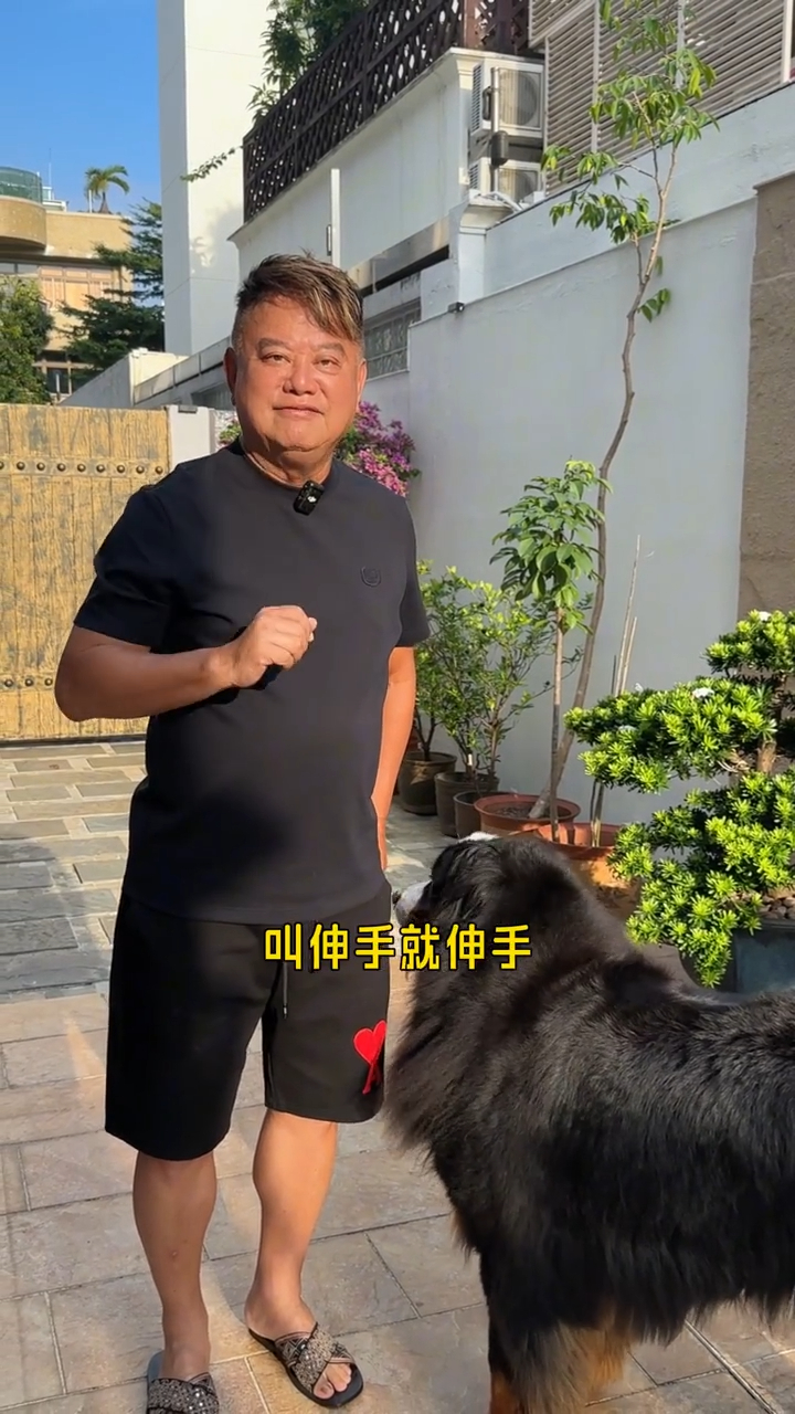 陳百祥的愛犬十分聽話，能完成握手等各種指令。