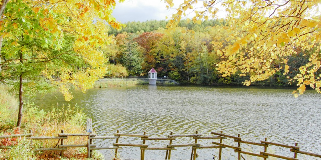 札幌市豐平區西岡公園早前傳出熊出沒。札幌旅遊官網 札幌市豐平區西岡公園早前傳出熊出沒。札幌旅遊官網