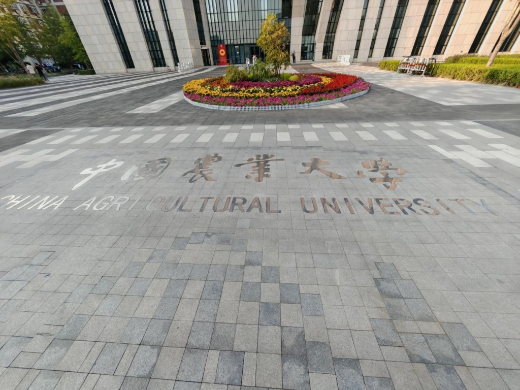 中国农大食堂一直以“暗黑创意料理”闻名。小红书 中国农大食堂一直以“暗黑创意料理”闻名。小红书