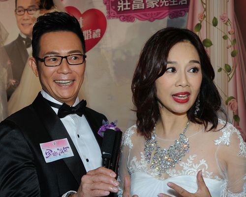 张兆辉与陈松伶齐受访