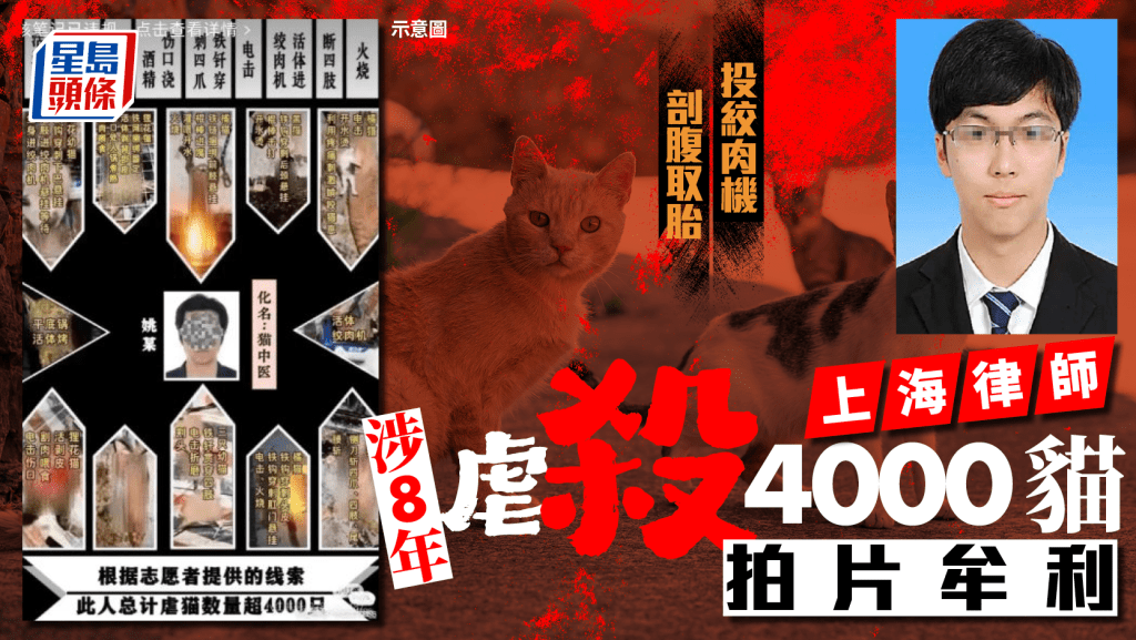 被指拍虐殺貓隻影片出售的上海律師姚某，與調查的貓義工發生衝突被警方帶走。微博