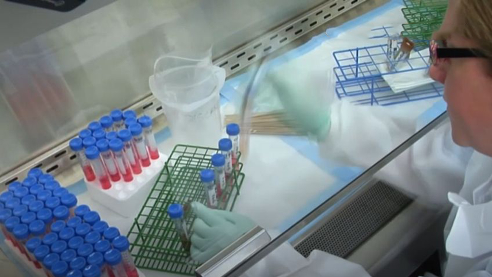 紐約污水中發現小兒麻痺症病毒。路透