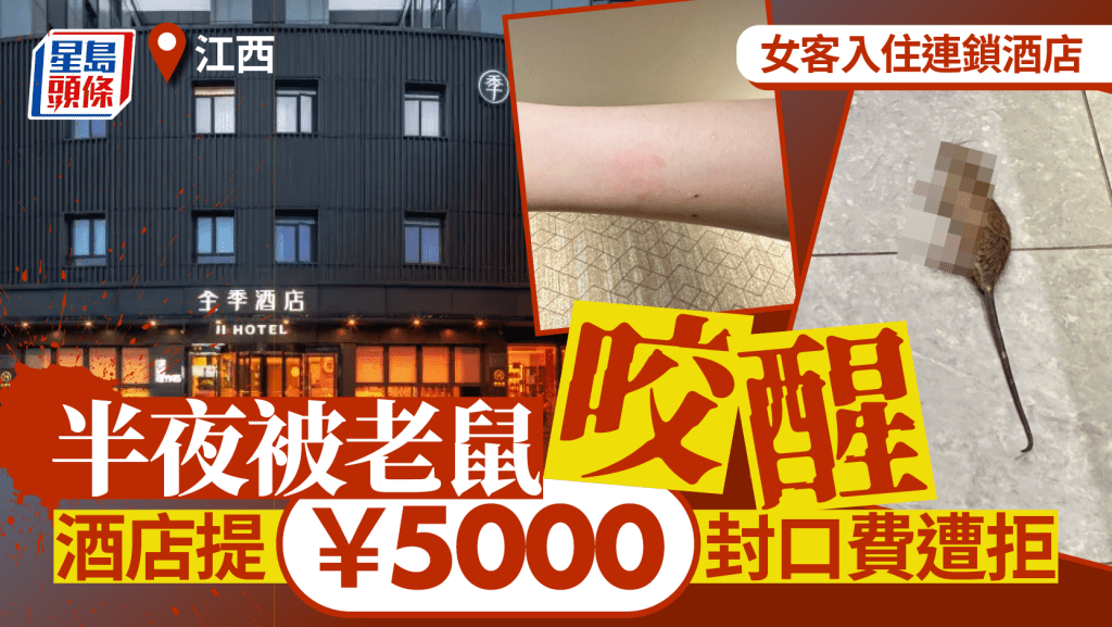 女住客當晚被老鼠咬至痛醒。