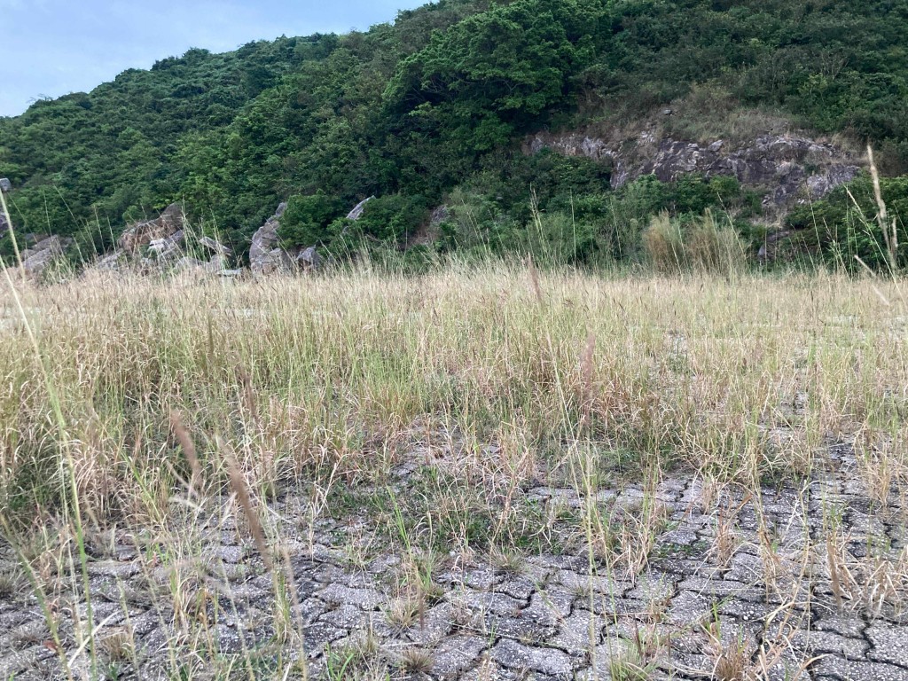 大鴉洲曾有村民居住,但後來因島上興建船民難民營而遷離。香港電台提供 大鴉洲曾有村民居住,但後來因島上興建船民難民營而遷離。香港電台提供