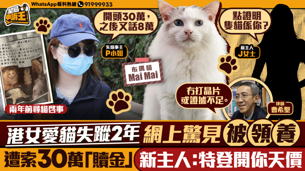 星島申訴王｜港女愛貓失蹤2年被領養遭索30萬「贖金」    新主人：特登開天價