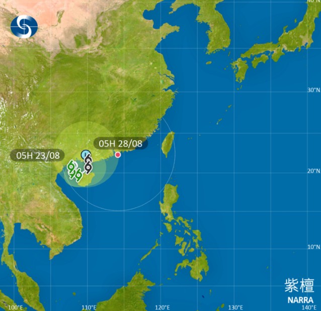 紫檀成「迷途羔羊」路徑詭異。天文台 紫檀成「迷途羔羊」路徑詭異。天文台