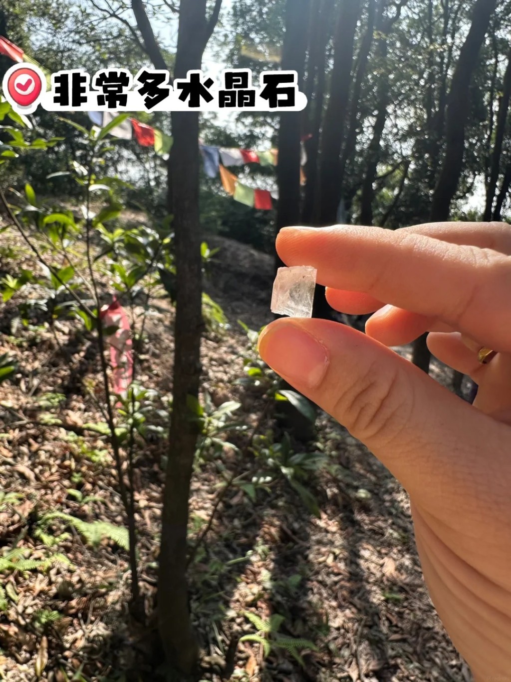 广州暹岗大山遭非法开挖水晶，许多网民展示战利品。小红书＠巴斯年豆豆呀