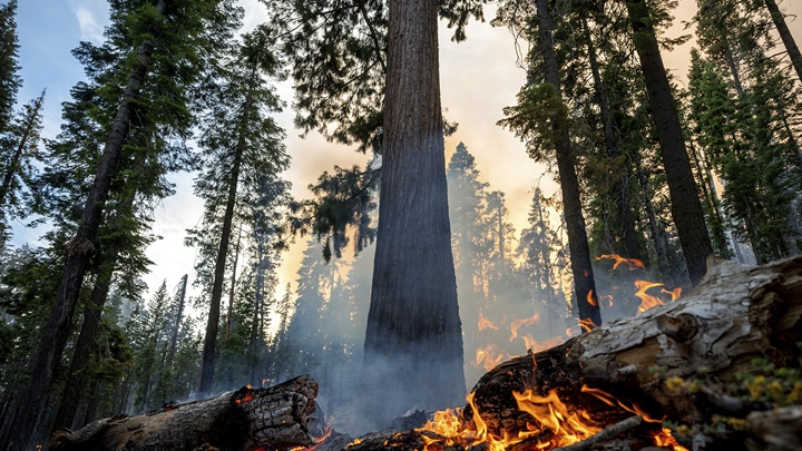 山火蔓延至優美木國家公園。AP圖片