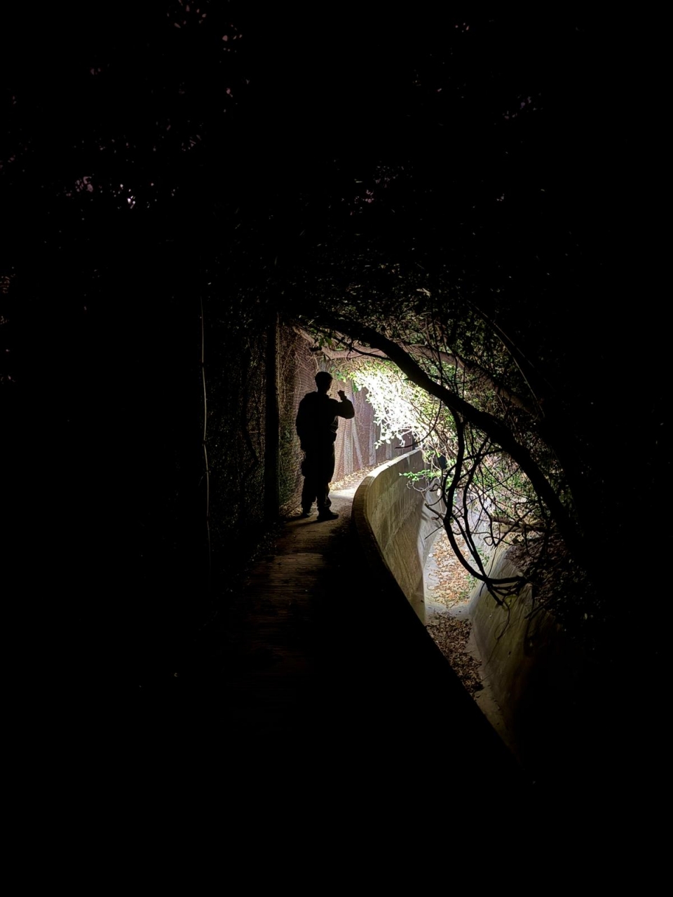 入夜後警員繼續高調巡邏屋苑附近山坡密林。