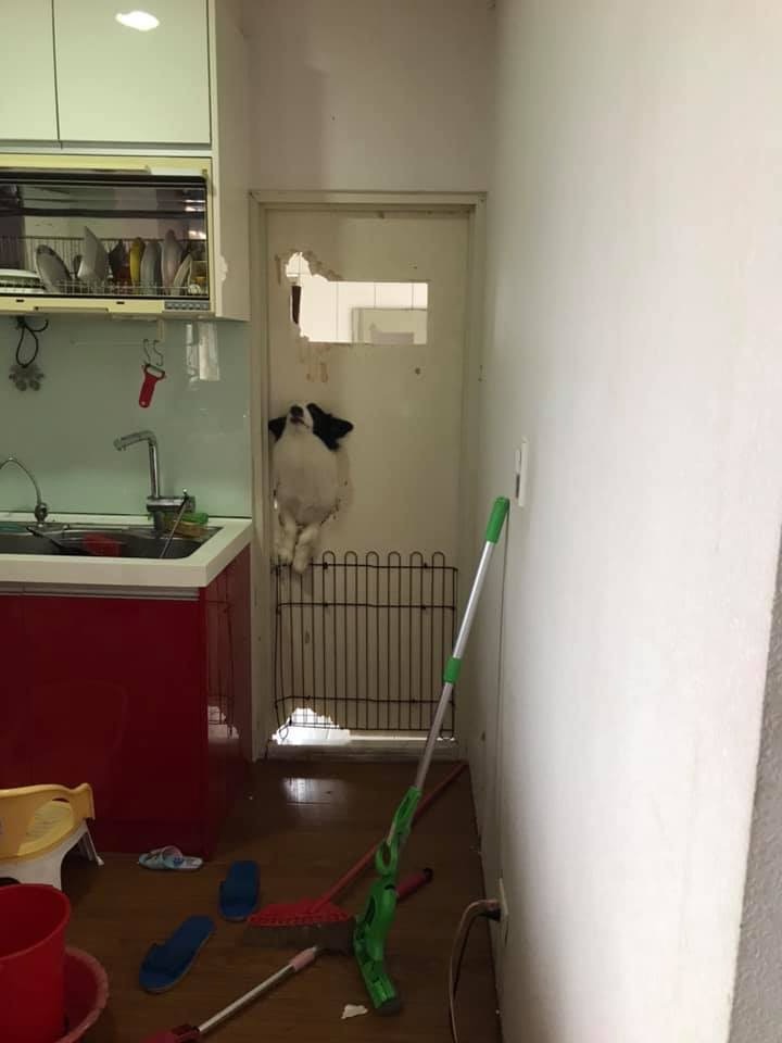 「淑芬」从门锁位置钻出来。(ChiChi Lu facebook图片)