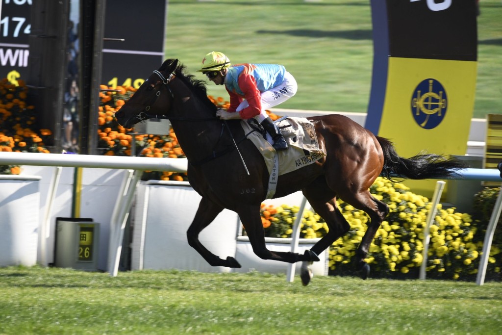 「嘉應高昇」是全球最高評分短途馬。