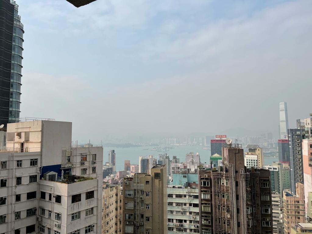 從露台外望,可見九龍環球貿易廣場(ICC)及中環國際金融中心(IFC),與維港煙花海景。