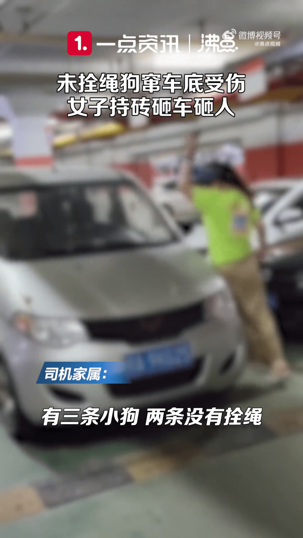 女狗主继续用砖头扑车。