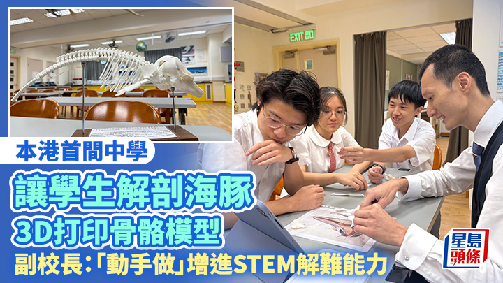 本港首間中學讓學生解剖海豚 3D打印骨骼模型 副校長：「動手做」增進STEM解難能力
