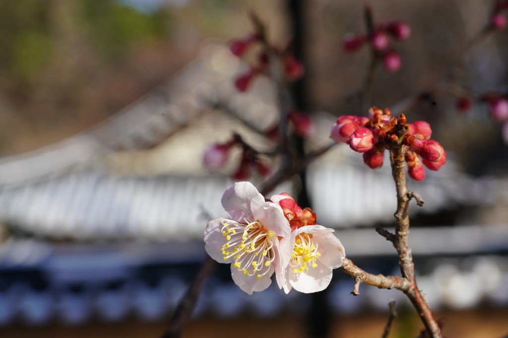 今年的大寒在1月20日。