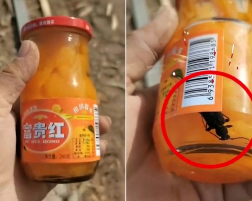男子賀年禮品飲料發現6厘米死蟲,喝到最後一瓶才發現,家中小孩已喝掉11瓶。(網圖)