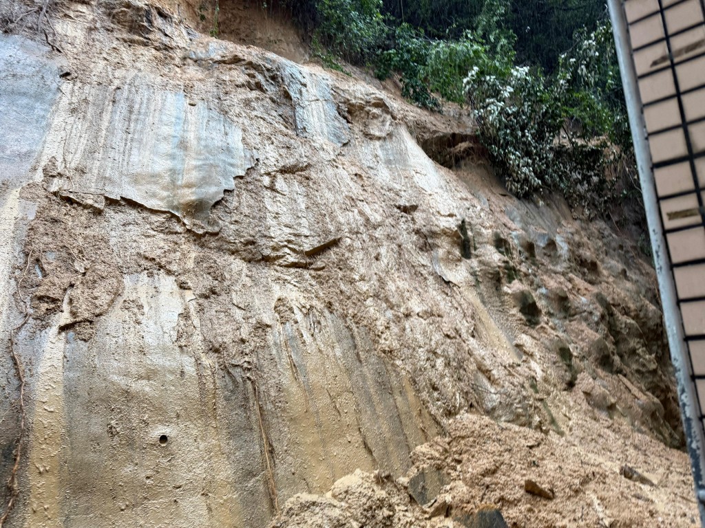 嘉翠園旁邊山坡「冧山泥」。鍾澤賢攝