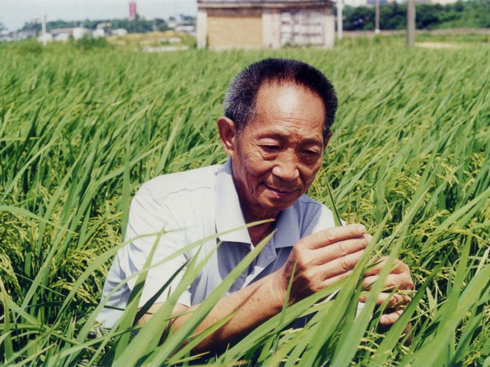 首届「吕志和奖－持续发展奖」颁奖予袁隆平，以表扬其在高产杂交水稻技术的贡献。