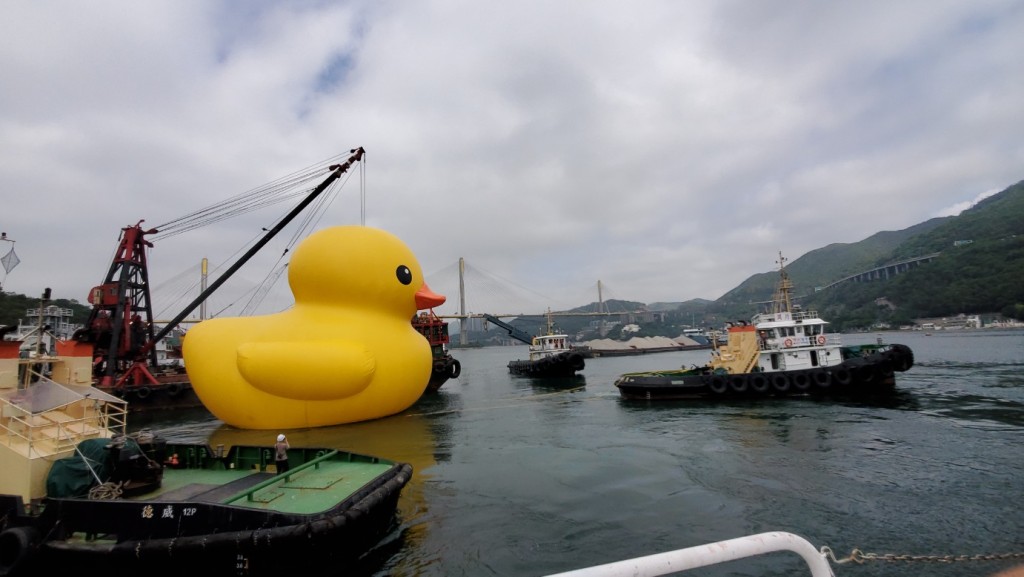 巨型橡皮鸭落水前，在位于青衣的香港船厂准备。杨伟亨摄