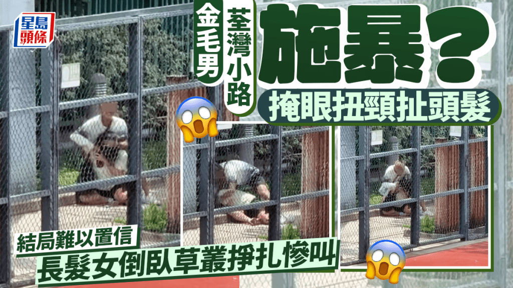 金毛男荃灣小路掩眼扭頸扯頭髮 長髮女倒臥草叢掙扎慘叫 金毛男荃灣小路掩眼扭頸扯頭髮 長髮女倒臥草叢掙扎慘叫