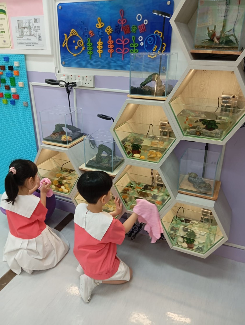 幼兒們分工合作負責餵食、清洗動物居所及觀察動物的身體狀況。