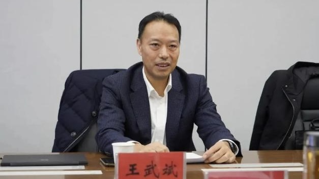 王武斌 王武斌