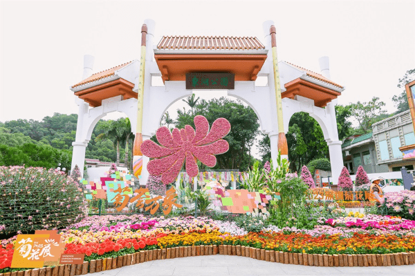 深圳菊花展由即日至12月29日舉行，主會是羅湖區東湖公園。