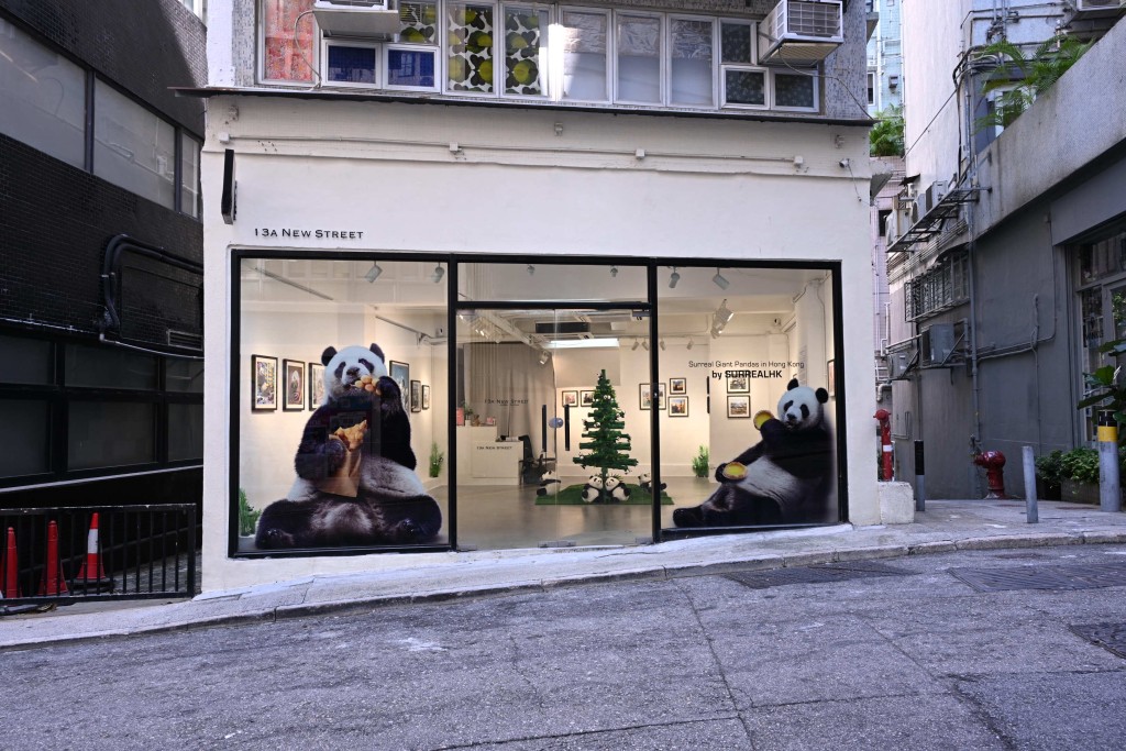 SurrealHK「香港的超現實大熊貓」個人作品展由即日起至12月29日於上環13a New Street Art Gallery舉行