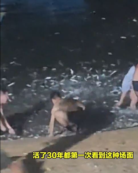 遊客拿盆撈魚。