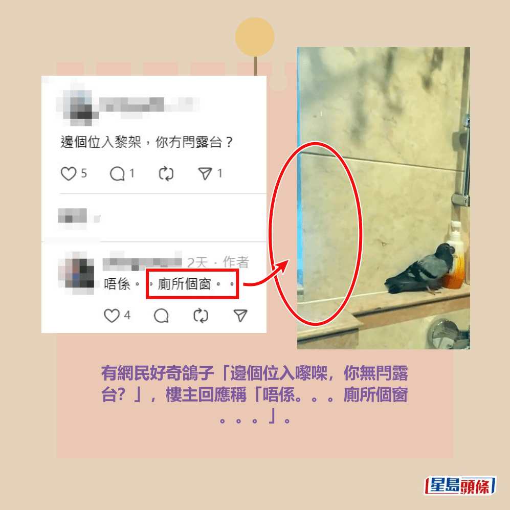 有網民好奇鴿子「邊個位入嚟㗎,你無閂露 台?」,樓主回應稱「唔係。。。廁所個窗 。。。」。Threads截圖 有網民好奇鴿子「邊個位入嚟㗎,你無閂露 台?」,樓主回應稱「唔係。。。廁所個窗 。。。」。Threads截圖