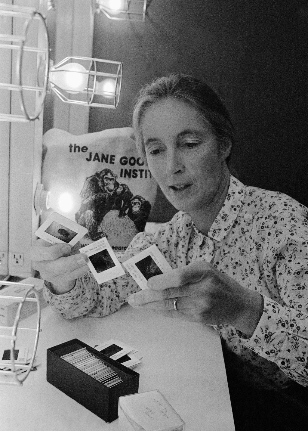 國際知名靈長類學家兼保育人士珍古德(Jane Goodall)於當地時間10月1日在美國加州辭世,享壽91歲。美聯社 國際知名靈長類學家兼保育人士珍古德(Jane Goodall)於當地時間10月1日在美國加州辭世,享壽91歲。美聯社