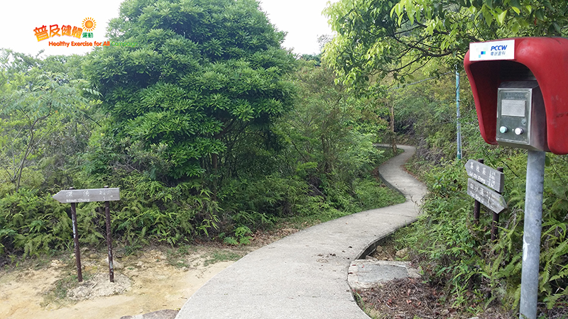 深涌及荔枝莊分岔路口