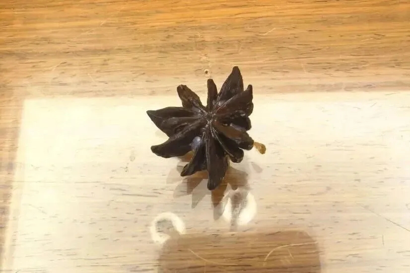 黃女士當天發現的莽草。 黃女士當天發現的莽草。