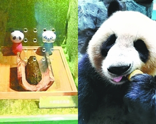 湖北武漢動物園,近日推出聞熊貓便便的體驗服務,遊客可以通過小孔聞到新鮮的熊貓便便。(網圖)