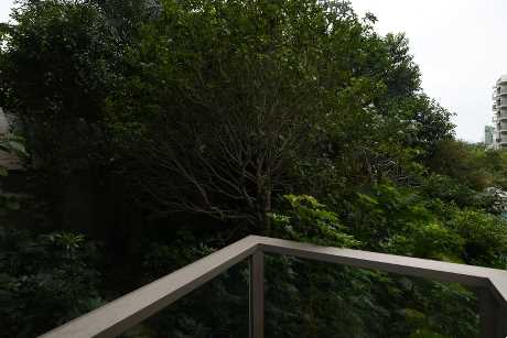 單位外望翠綠林景,環境清幽。